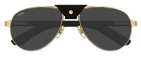 Occhiali da sole Cartier Santos CT0495S