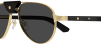 Occhiali da sole Cartier Santos CT0495S
