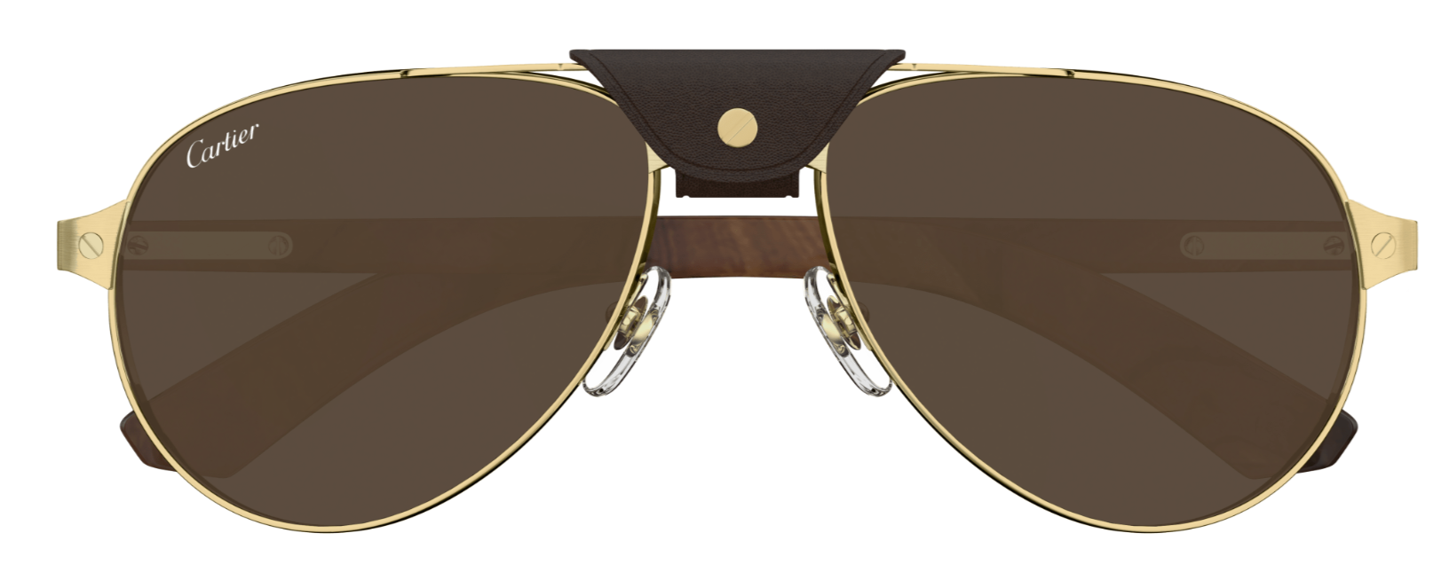 Occhiali da sole Cartier Santos CT0495S