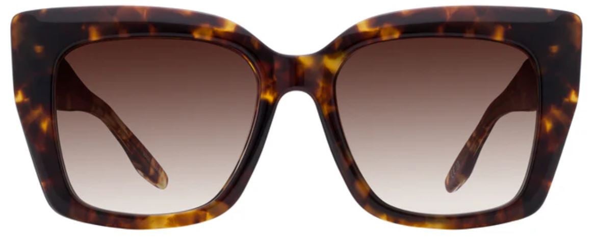 Gafas de Sol Barton Perreira Devine