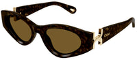 Gafas de sol Chloé CH0259S