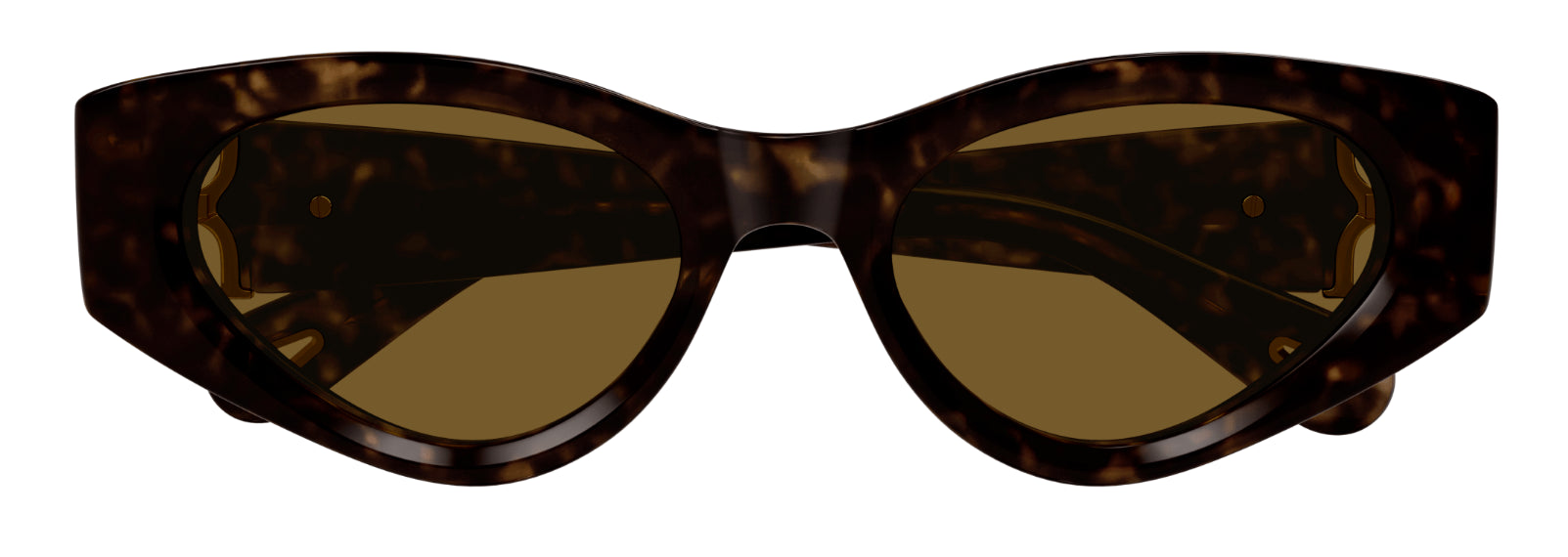 Gafas de sol Chloé CH0259S