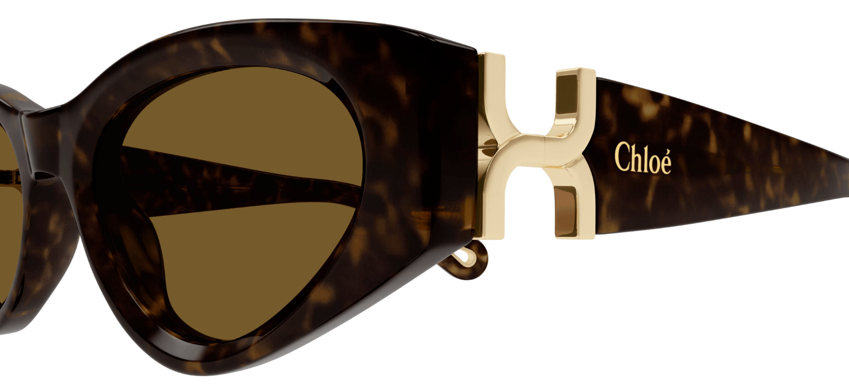 Gafas de sol Chloé CH0259S