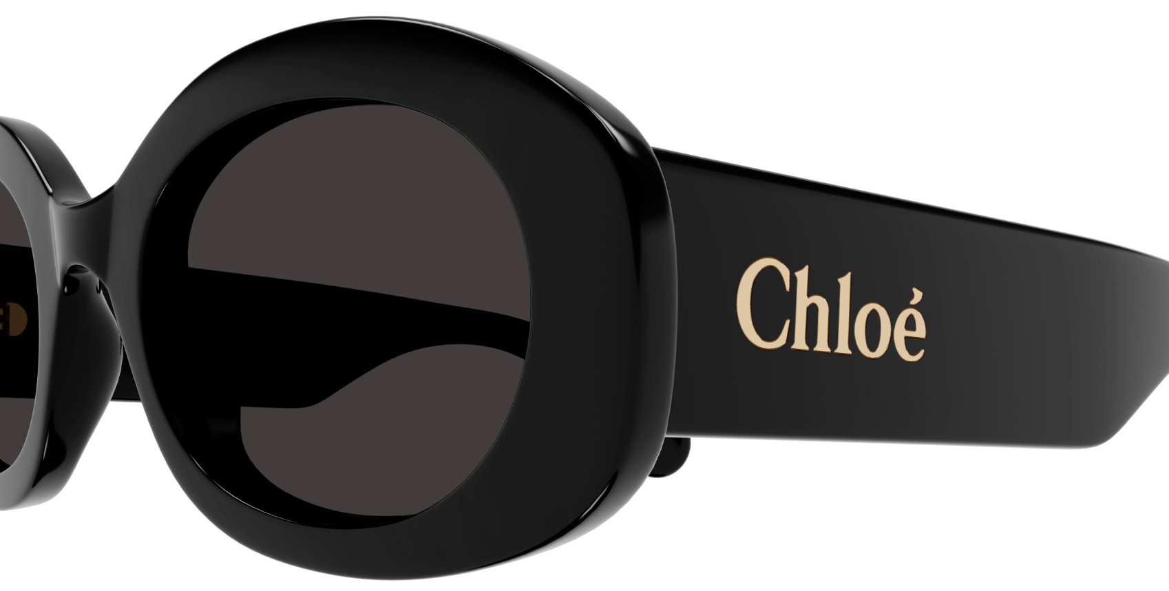 Gafas de sol Chloé CH0258S
