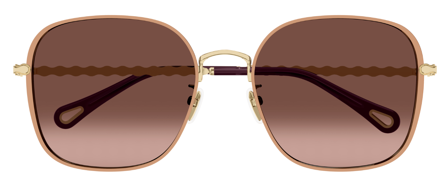 Gafas de Sol Chloé CH0255SK