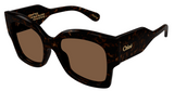 Gafas de Sol Chloé CH0252S