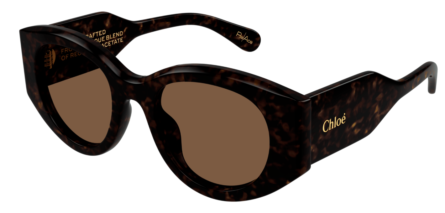 Occhiali da sole Chloé CH0251S