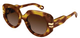 Occhiali da sole Chloé CH0257S
