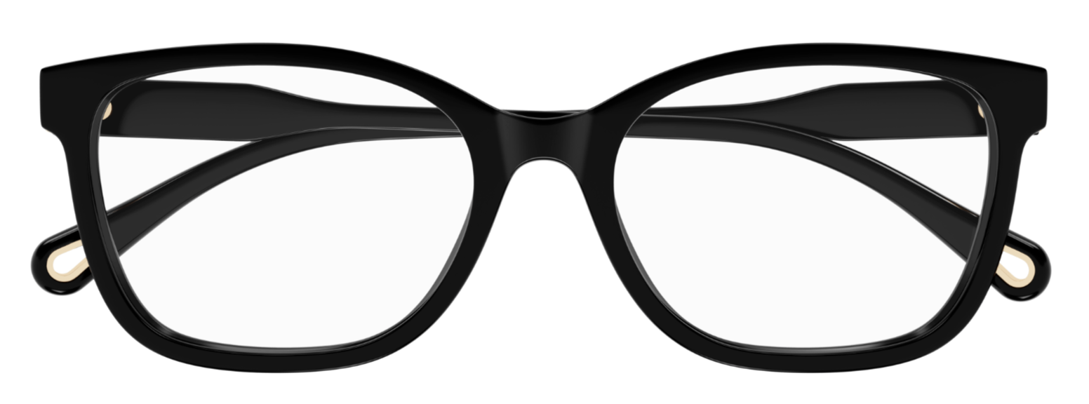Brille Chloé CH0276OA