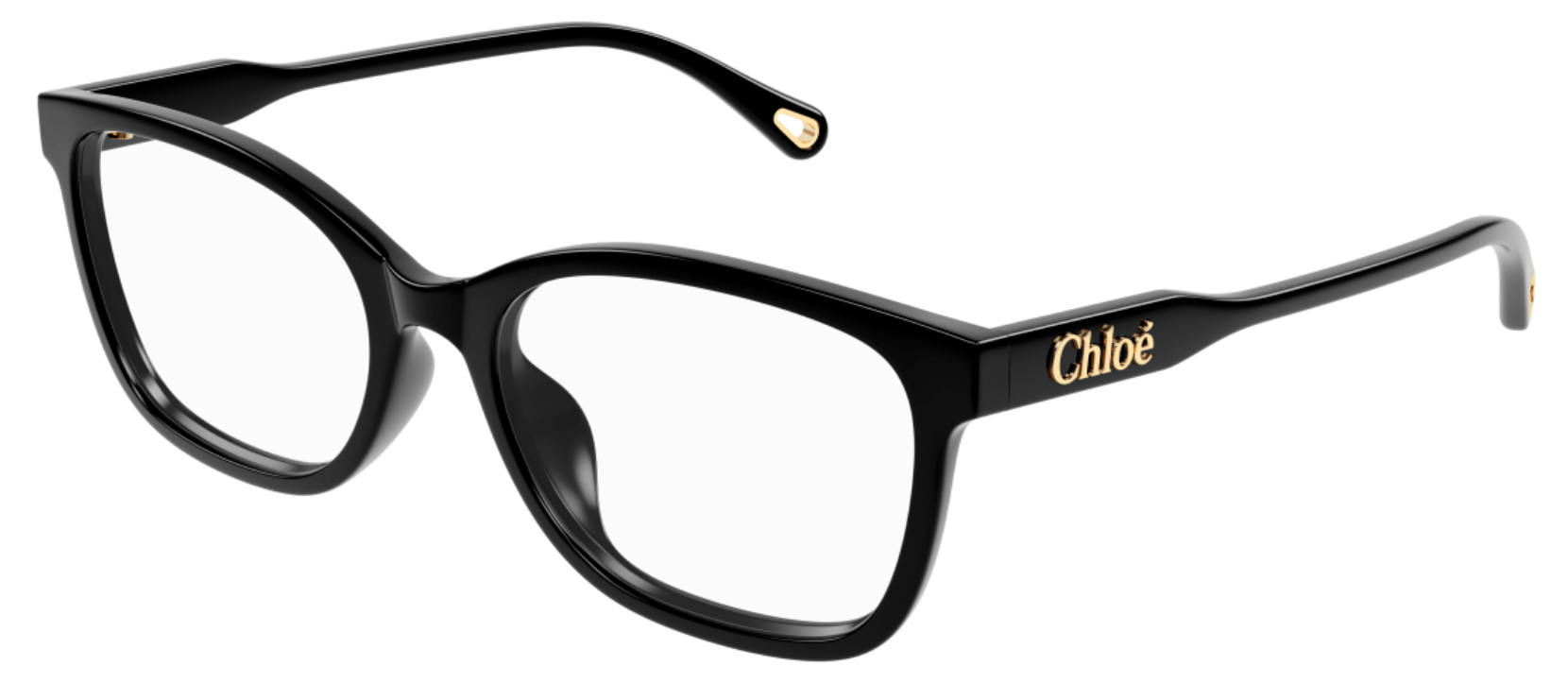Brille Chloé CH0276OA