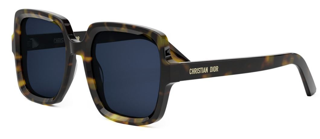 DIOR DiorMidnight S4I Sunglasses