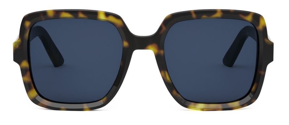 DIOR DiorMidnight S4I Sunglasses