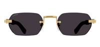 Óculos de Sol Cartier Chifre e Madeira Première CT0362S