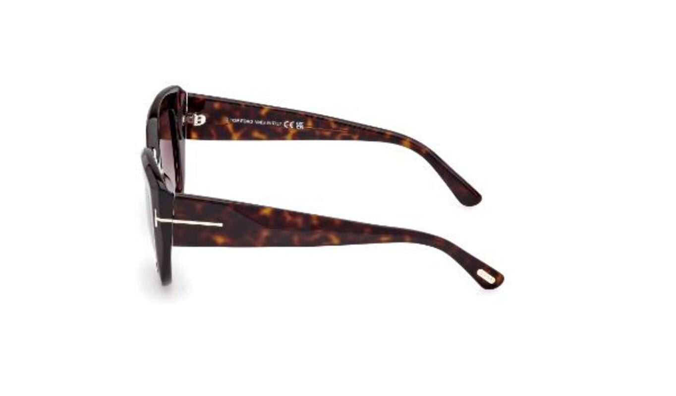 Lunettes de Soleil Tom Ford Saltzman FT1192