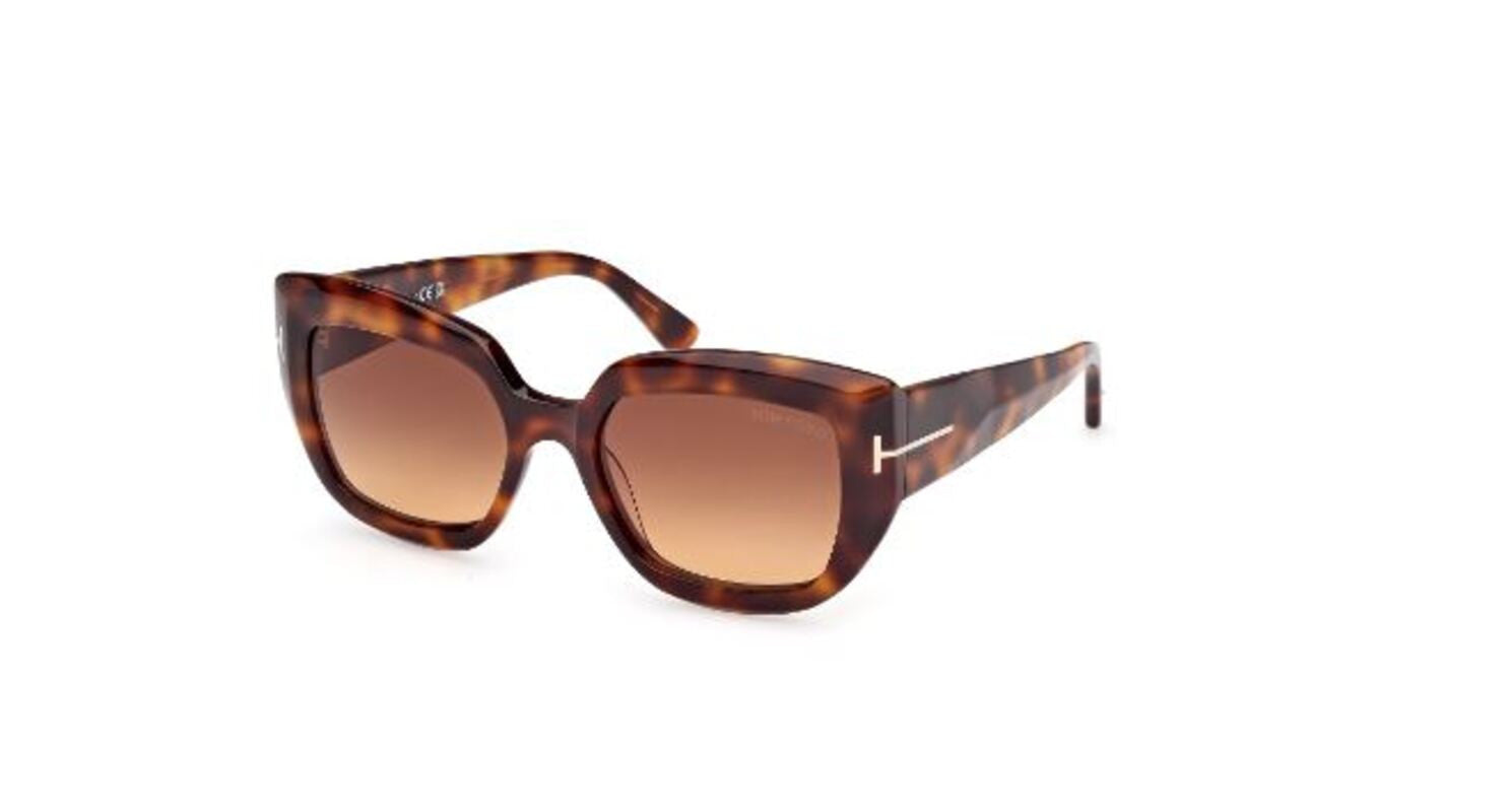 Lunettes de Soleil Tom Ford Saltzman FT1192