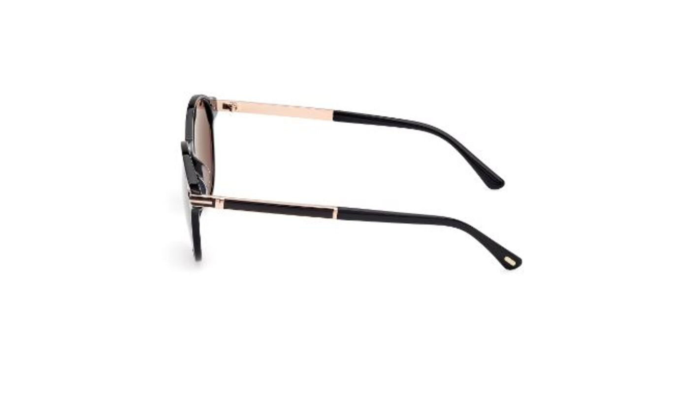Sonnenbrillen Tom Ford Araki FT1184
