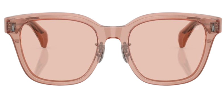 Óculos de Sol Moncler Metrope ME6002D