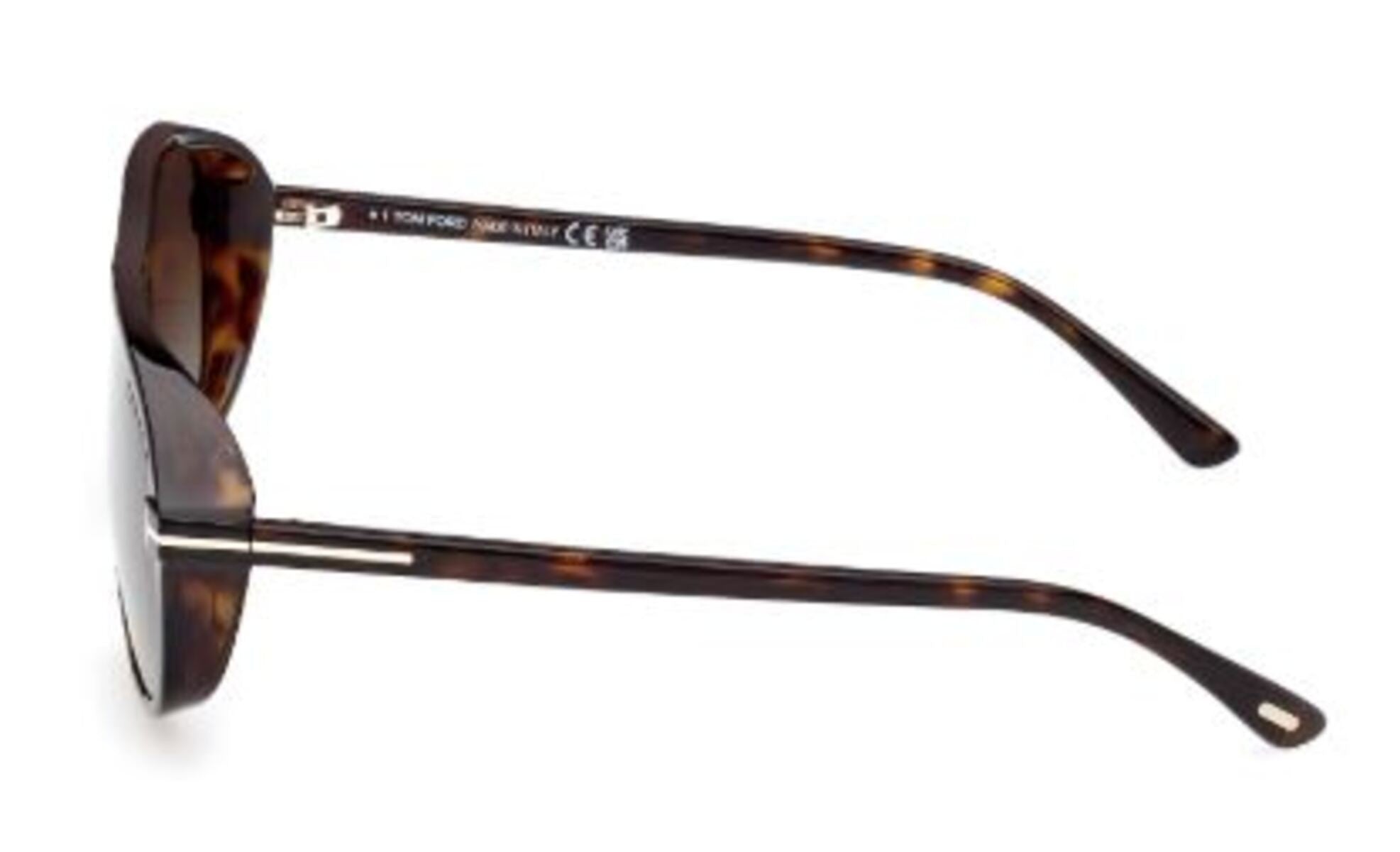 Óculos de Sol Tom Ford Guillaume FT1208