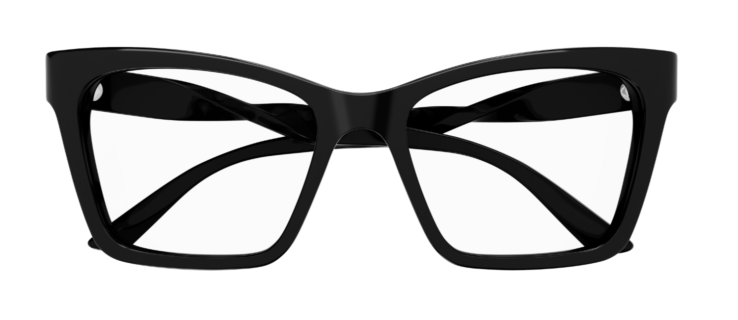 Brille Balenciaga EVERYDAY BB0210O