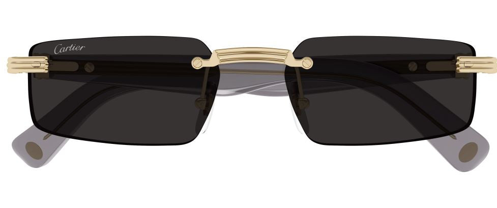 Óculos de Sol Cartier Première CT0537S