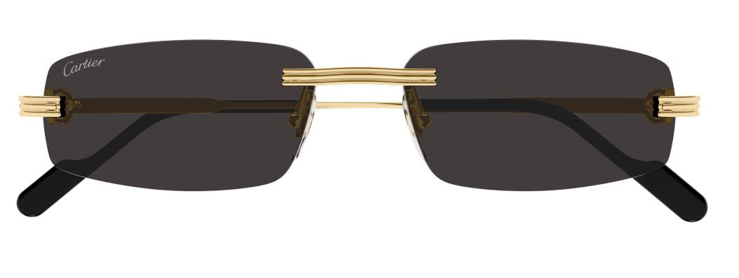 Óculos de Sol Cartier Première CT0535S