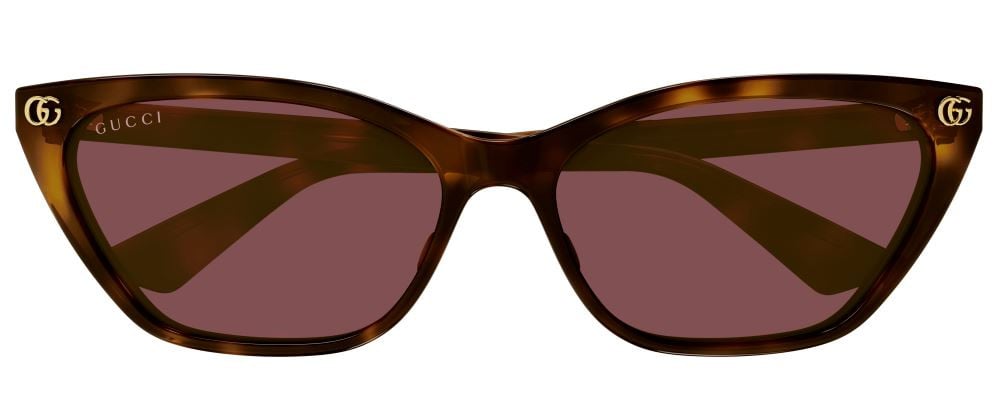Lunettes de Soleil Gucci Emblem GG1815S
