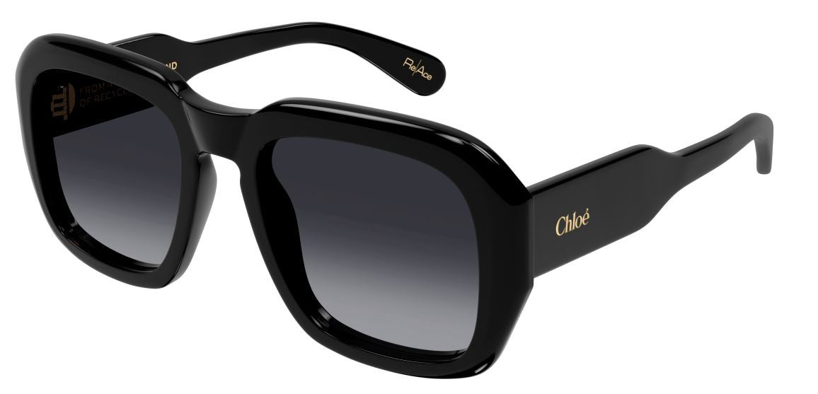 Sonnenbrillen Chloe CH0310S