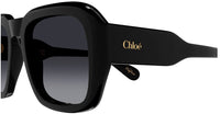 Sonnenbrillen Chloe CH0310S