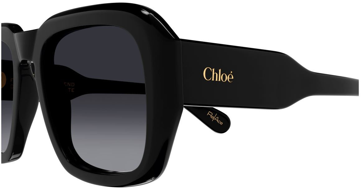 Sonnenbrillen Chloe CH0310S