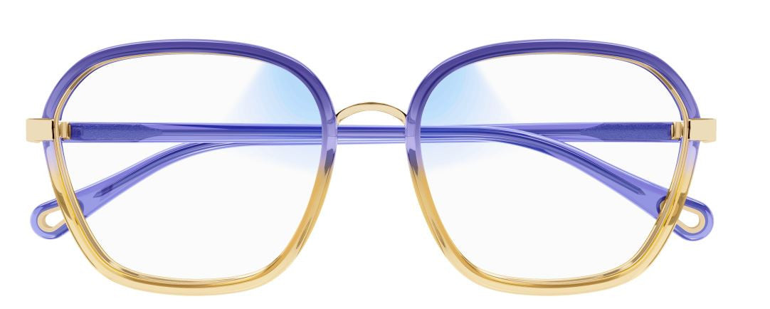 Gafas de Sol Chloe CH0309S