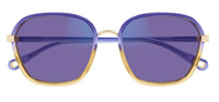 Gafas de Sol Chloe CH0309S