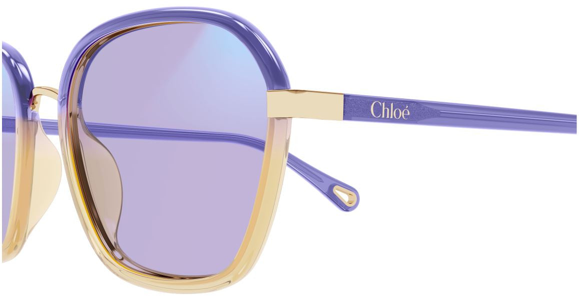Gafas de Sol Chloe CH0309S