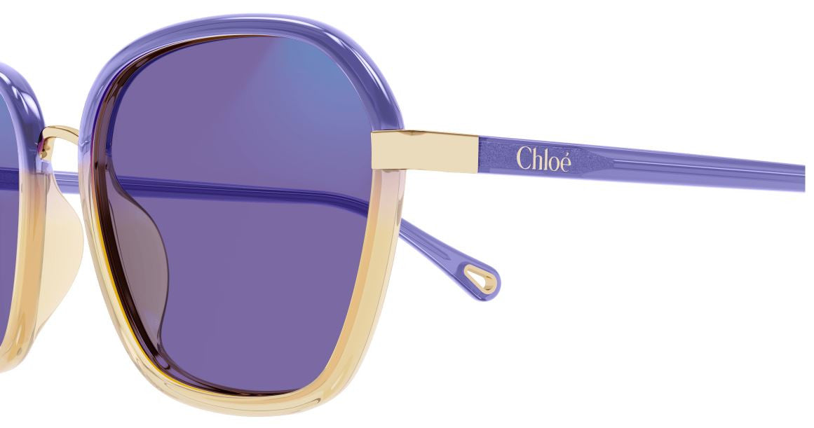 Gafas de Sol Chloe CH0309S