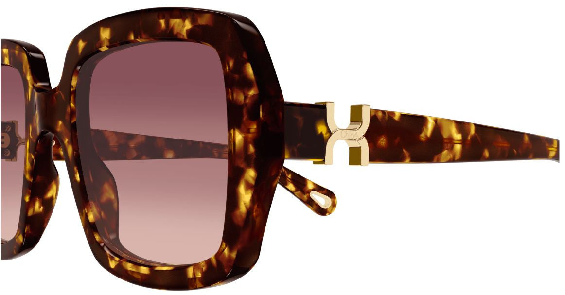 Óculos de Sol Chloe CH0301S