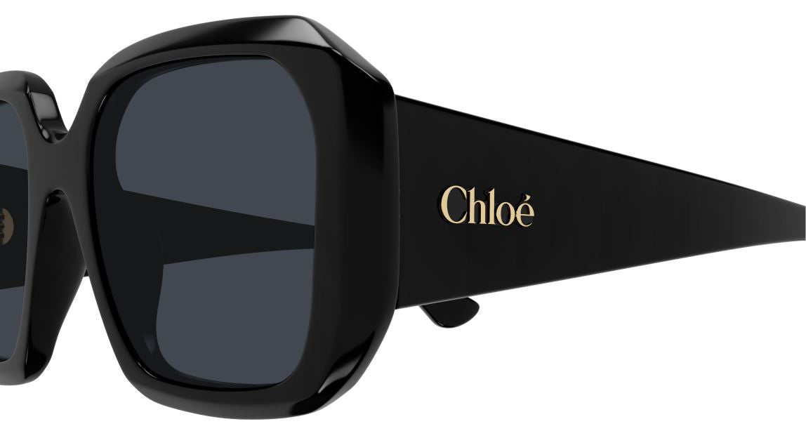 Gafas de Sol Chloe CH0300S