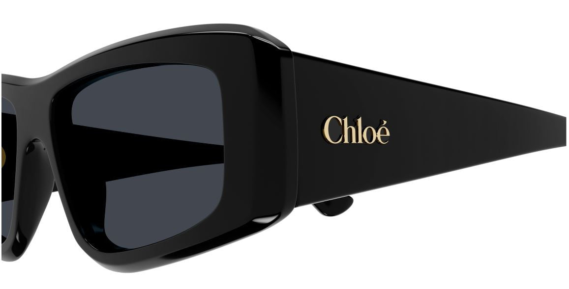 Солнцезащитные очки Chloe CH0299S