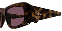 Солнцезащитные очки Chloe CH0299S