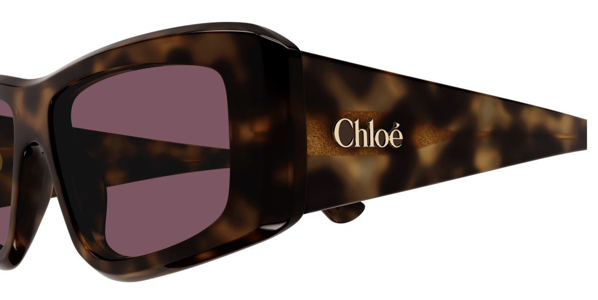 Солнцезащитные очки Chloe CH0299S
