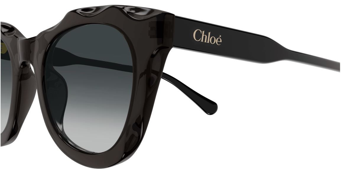 Occhiali da sole Chloe CH0295S