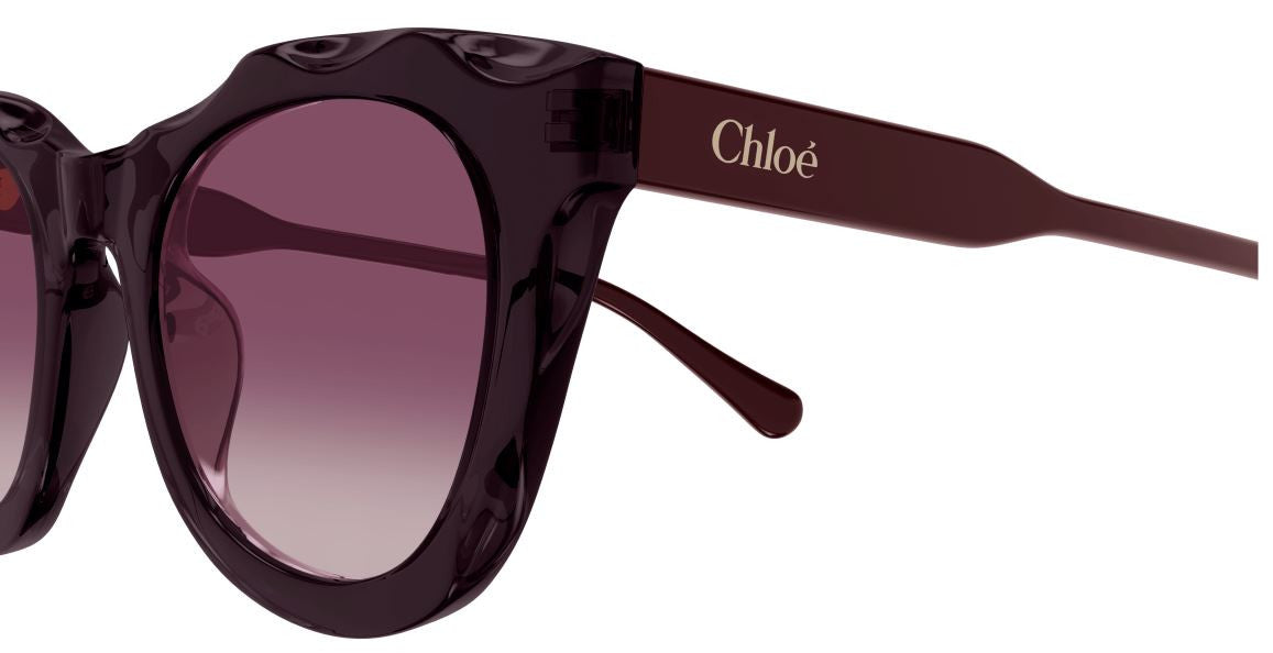Occhiali da sole Chloe CH0295S