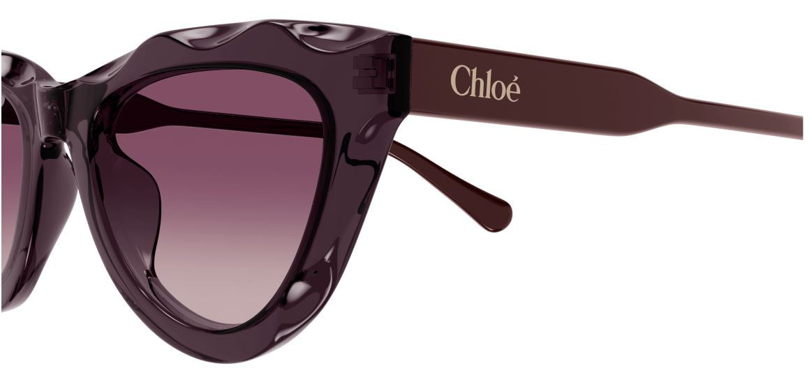 Sonnenbrille Chloe CH0294S