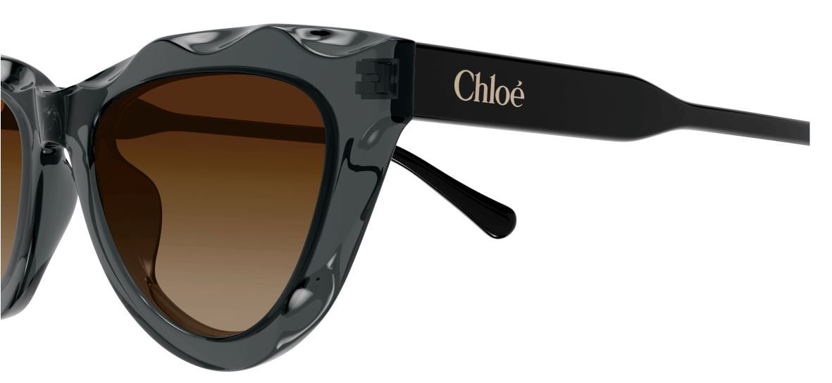 Sonnenbrille Chloe CH0294S