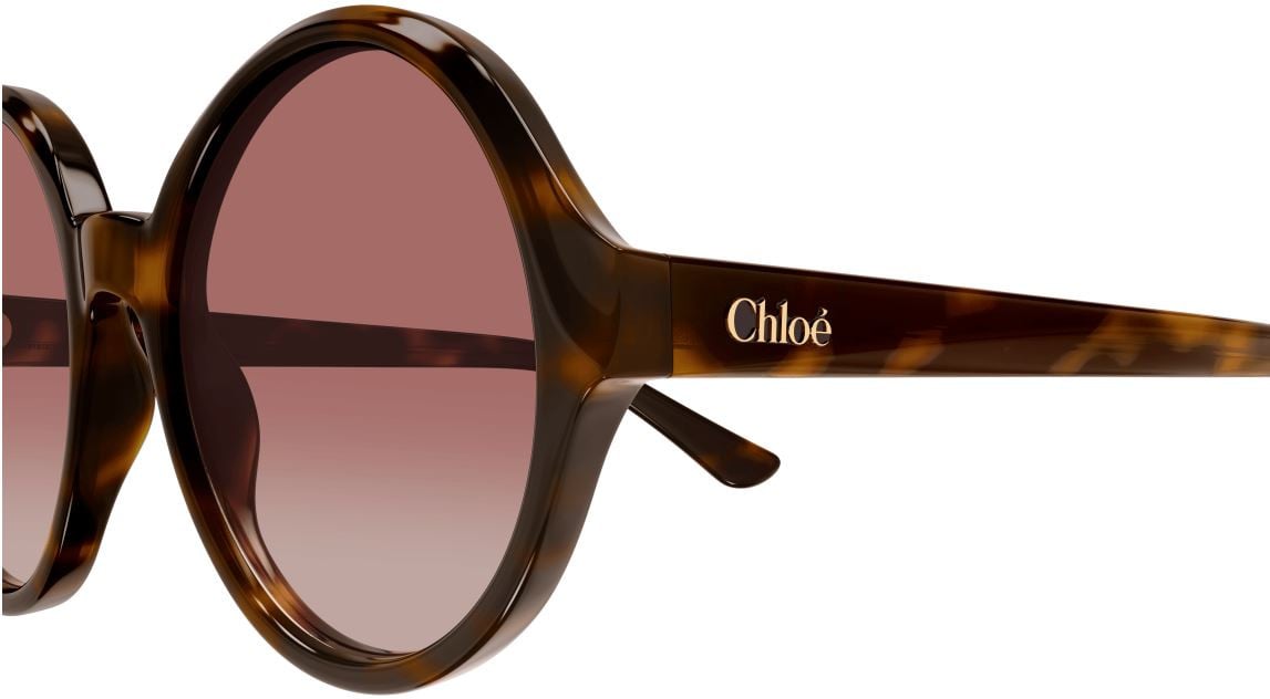 Sonnenbrille Chloe CH0290S