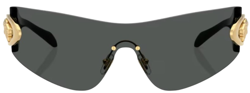 Sonnenbrillen Versace VE2280