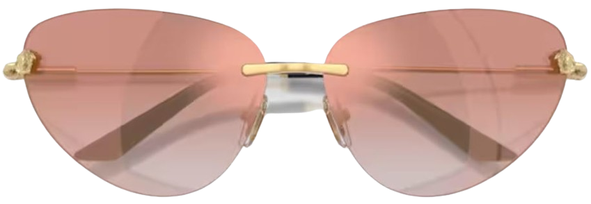 Gafas de Sol Versace VE2281