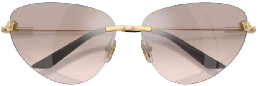Gafas de Sol Versace VE2281