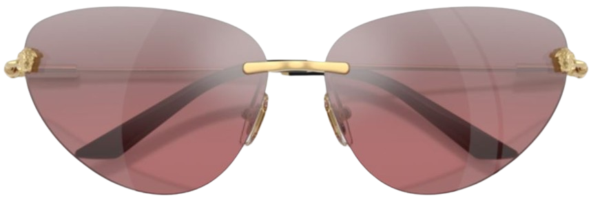 Gafas de Sol Versace VE2281