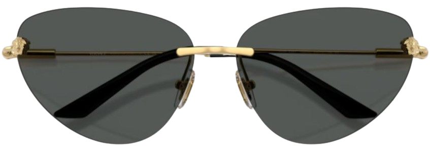 Gafas de Sol Versace VE2281