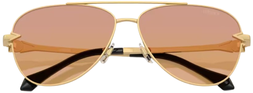 Gafas de Sol Versace VE2283