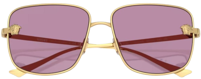 Occhiali da Sole Versace VE2282